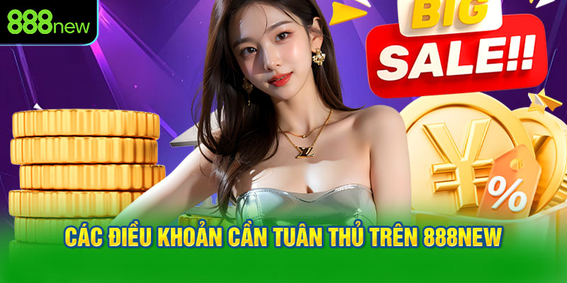 Các Điều Khoản Cần Tuân Thủ Trên 888NEW